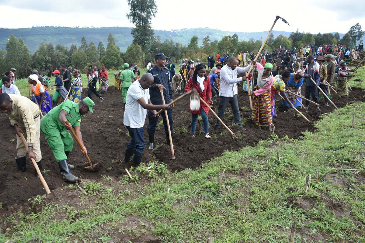 rulindodistrict's tweet image. Muri uyu muganda, urubyiruko rwo mu Murenge wa #Kisaro @rulindodistrict rwifatanyije n'Intumwa za @RwandaParliamnt bari mu iruriro APNAC; aho bateye ibiti by'imbuto n'ibivangwa n'imyaka, bagahanga n'ikibuga cy'umupira w'amaguru ku ishuri rya Kigarama.