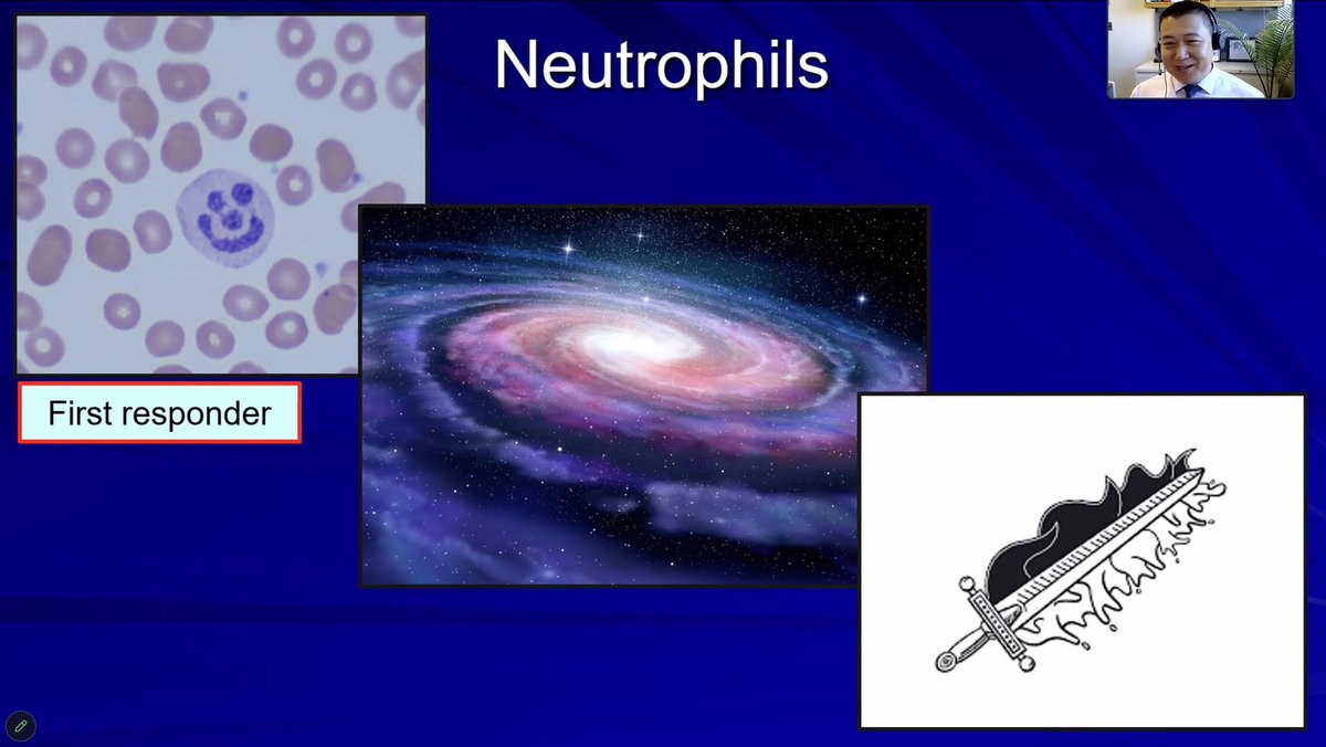 Dr. Ray Zuo is up next. Our bodies produce as many neutrophils every day as there are stars in the Milky Way!! My inner nerd loves this! 🤯 @RayZuoMD @UMIntMed @Kahlenberglab #updatesinlupus