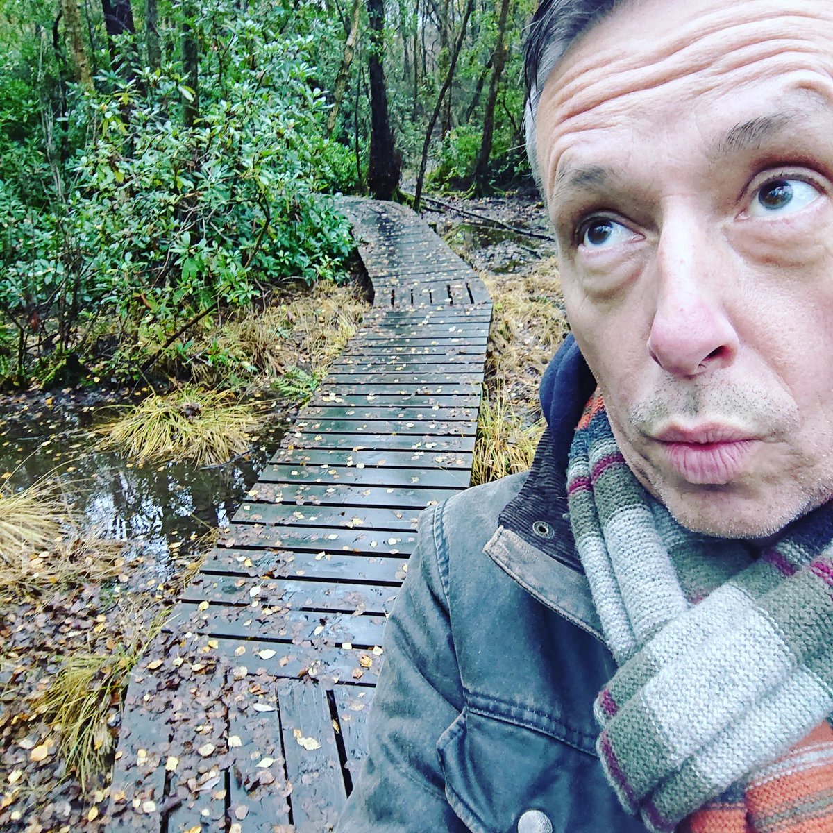 DO NOT lead me up the garden path... On #wheresandy today Wrong answers only remember. GO!