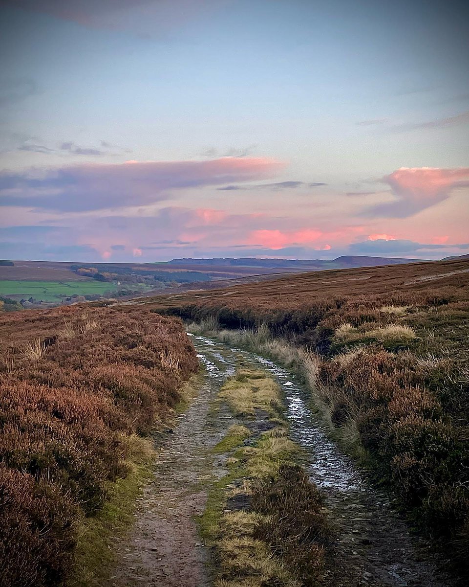 NorthYorkMoors's tweet photo. Walking through paradise 💙

Have you planned your weekend adventure yet? If not, take a look at our recommended walk for November, we promise you won't regret it!

📷 : @veras_wandering_wheels  

#NorthYorkMoors #NationalPark #Moorland #CandySkies #PinkClouds https://t.co/RqS2xRREy7