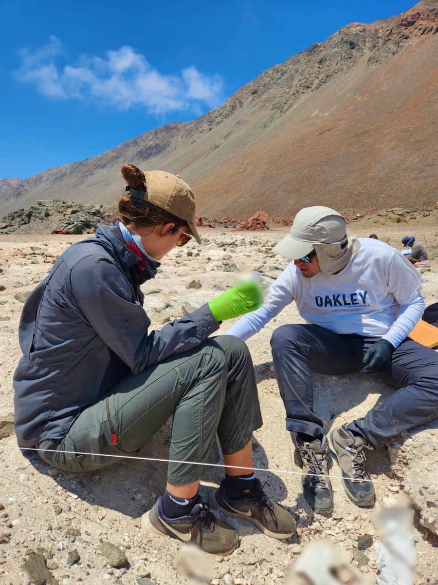 Magdalena Palisson-Kramer tweet media