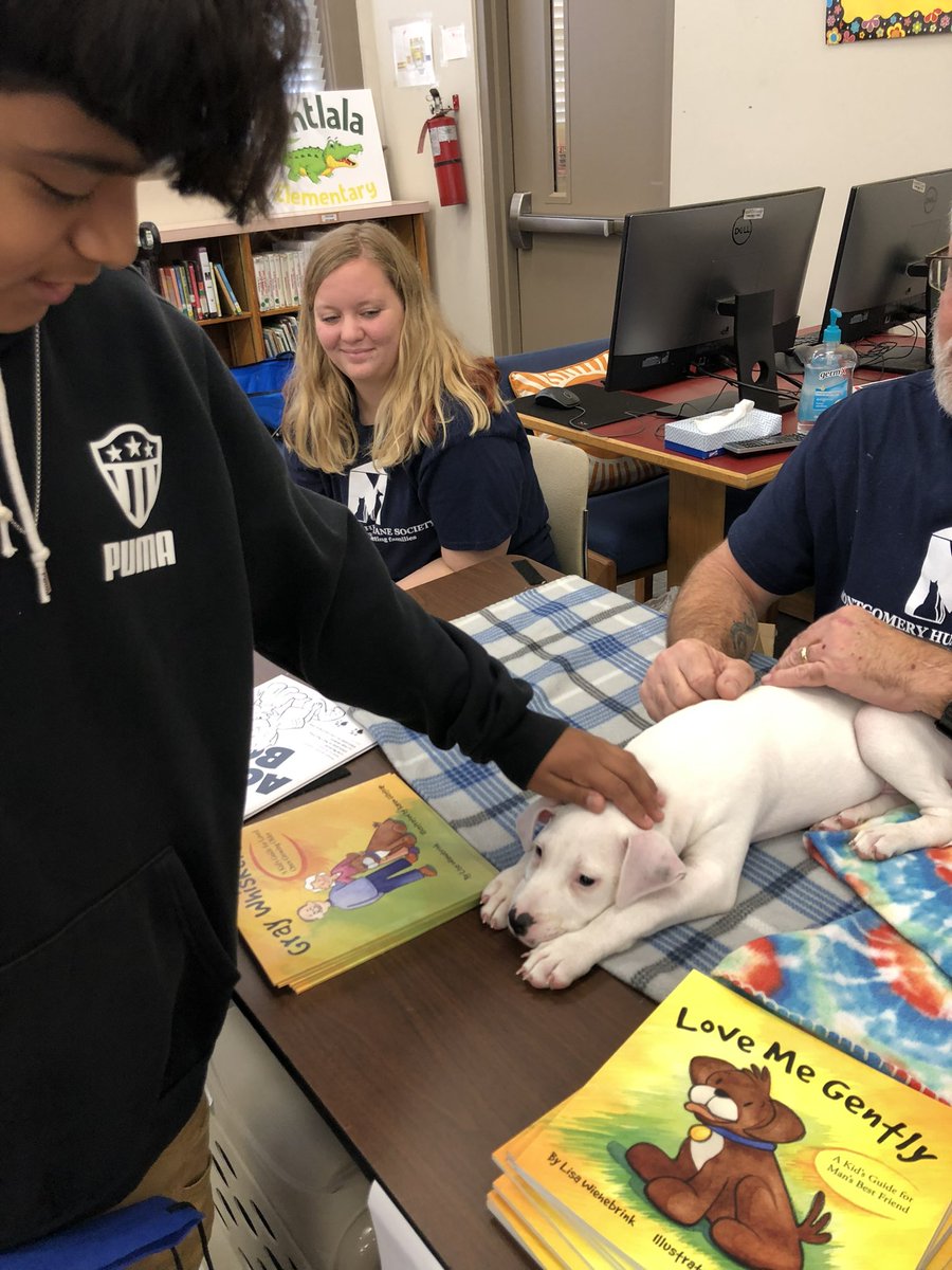 PintlalaElementary tweet media