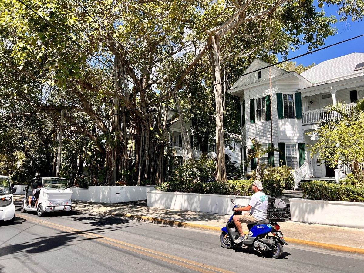 Another beautiful Saturday in the Conch Republic. 📷
.
.
.
#keywest #flkeys #lovefl #conchrepublic #duvalstreet #oldtownkeywest #florida #keywestvacation #keywesttravel