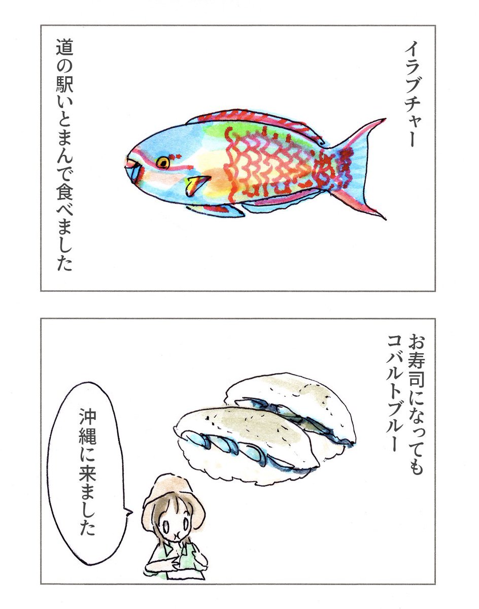 沖縄に行ってきました(4) 