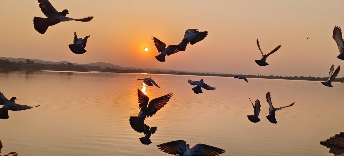 craving_demon's tweet photo. Will this qualify for #BirdFlock theme by #indiAves....😁
@ThePhotoHour https://t.co/ocDZx4e2Dv