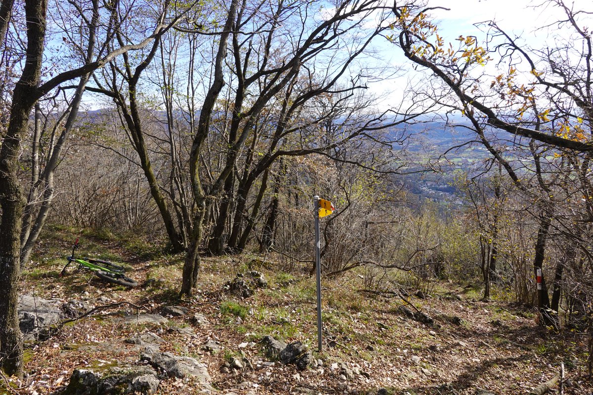 DanielcScherrer's tweet photo. Heute wieder ein perfekter Biketag im #Ticino. Durchgehend geilste Trails. Einfach traumhaft. #Biketour https://t.co/9JspZQRuKq