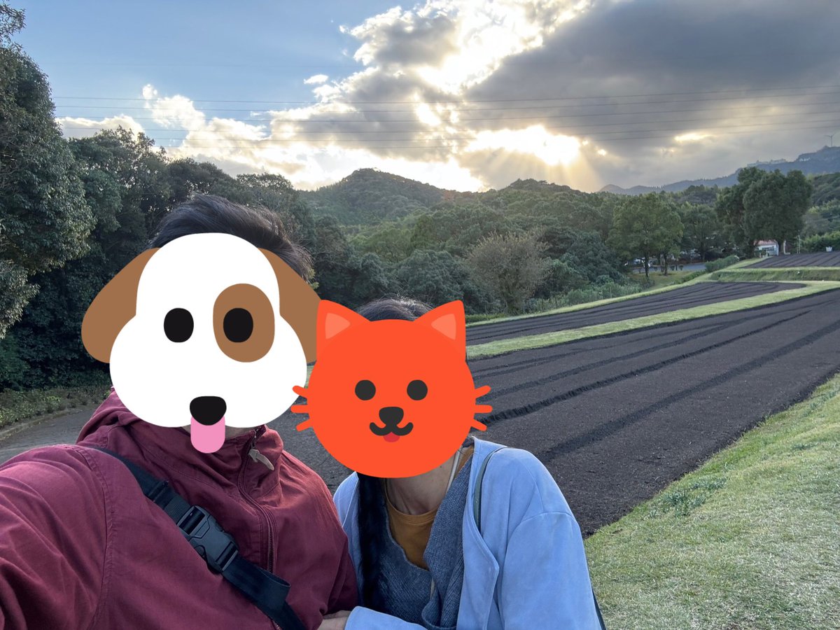 33taiyo33's tweet photo. コスモス見に行ってきた✨
#遅すぎた https://t.co/yb1fY5YCeM