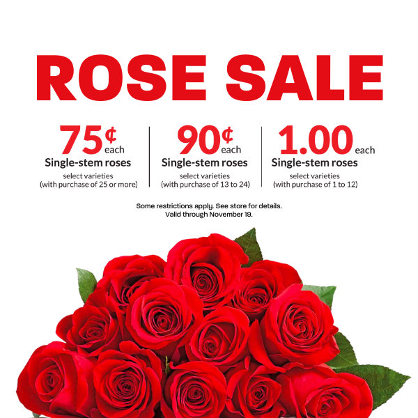 HV_QuadCities's tweet photo. Our Rose Sale is going on now through Sunday, Nov. 19 at Hy-Vee! Purchase our beautiful single-stem roses for only $1 each! The more you buy, the more you SAVE! Purchase 25 or more for only 75¢ each. Valid through November 19. 🌹 https://t.co/BrUgp6wgRq