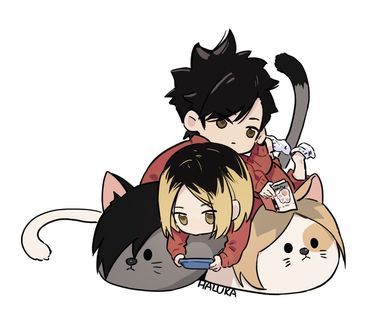haluka_3's tweet photo. 猫猫叠叠乐
#Hiakyuu #黑研 #kuroken https://t.co/PTjAmXVqzB