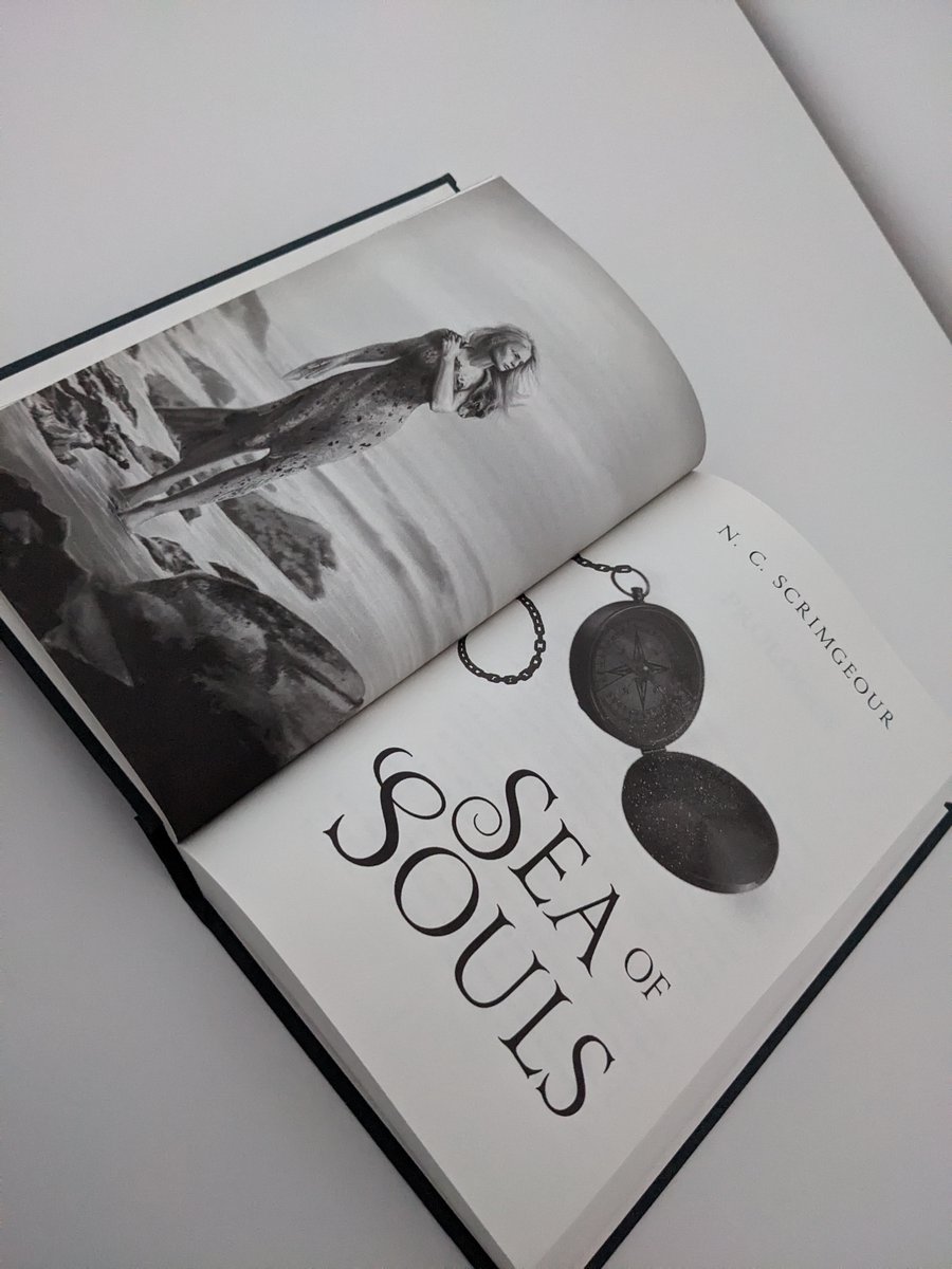 scrimscribes's tweet photo. Sea of Souls special hardcover edition is coming NEXT WEEK! ✨🌊

Includes:
⚓️ Illustrated design under the dust jacket
🦭 Stunning selkie illustration by @SparrowSprings 
📚 Short story prequel at the beginning of the book
🖊️ Printed signature bookplate

Available for pre-order! https://t.co/j726U3g5zK