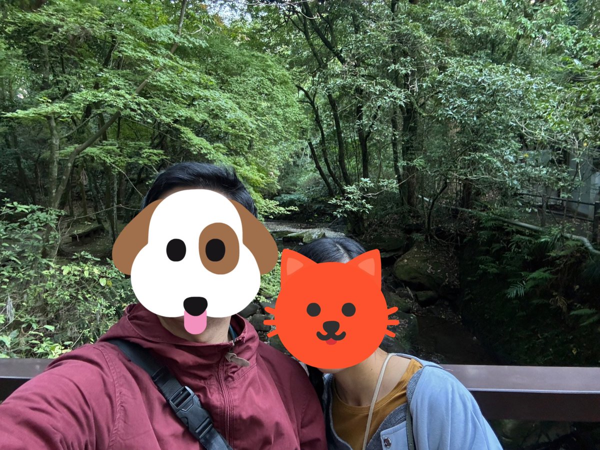 33taiyo33's tweet photo. 紅葉見に行ってきた✨
#早すぎた https://t.co/93tnN2Wq8P
