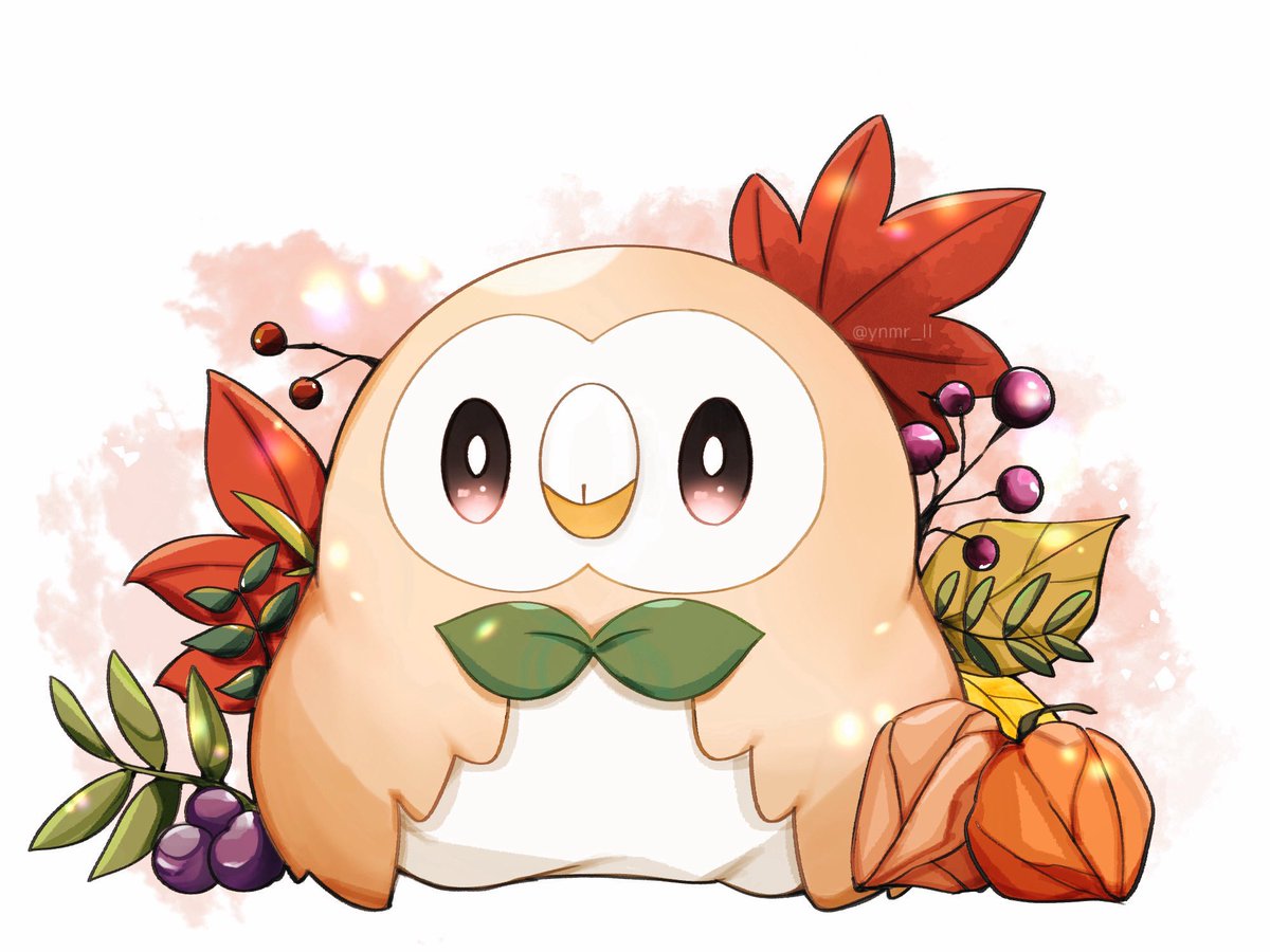 ynmr_ll's tweet photo. 秋のモクロー🍁 https://t.co/FayawjaOVG