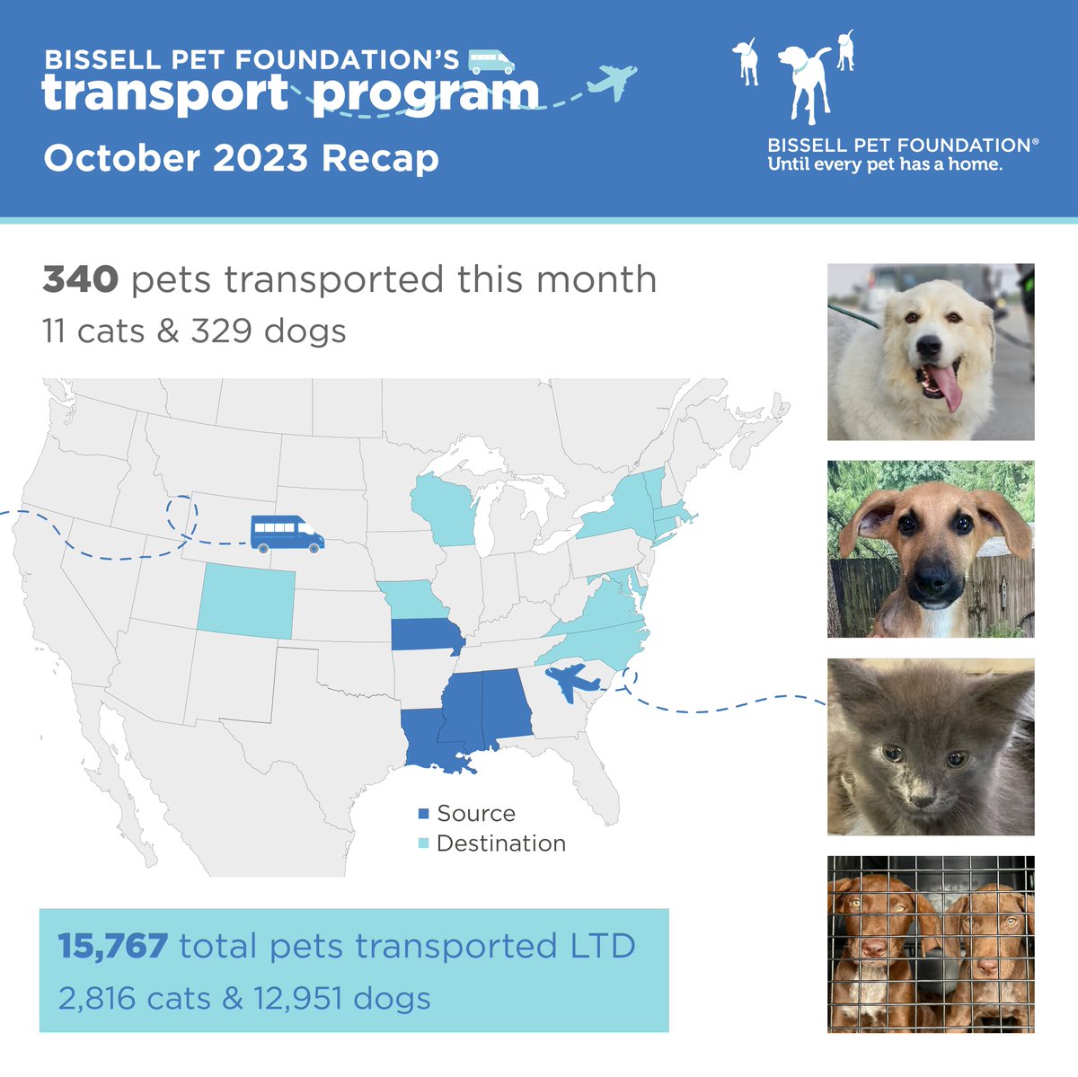 In October, 340 pets received second chances thanks to BISSELL Pet Foundation's Transport Program! These lifesaving transports wouldn't have been possible without our incredible donors and @PetSmartChariTs.