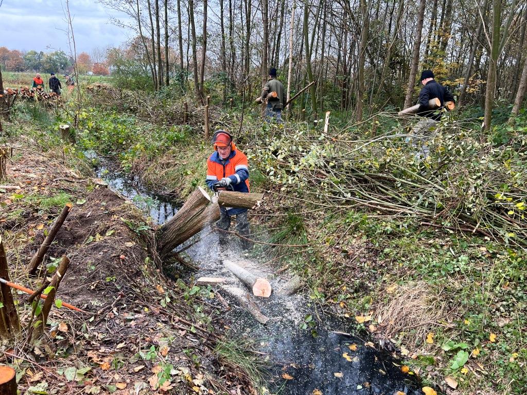 groot_ernest's tweet photo. Beheer en onderhoud #rabattenbos #Leijgraaf #Uden. @Brab_Landschap @Gem_Maashorst @aaenmaas. Stem #groen / #natuurlijk a.s. woensdag, b.v. @gl_pvda @D66 @VoltNederland @christenunie b.v.d. namens @WaterNatuurlijk https://t.co/Blnalfd9gS