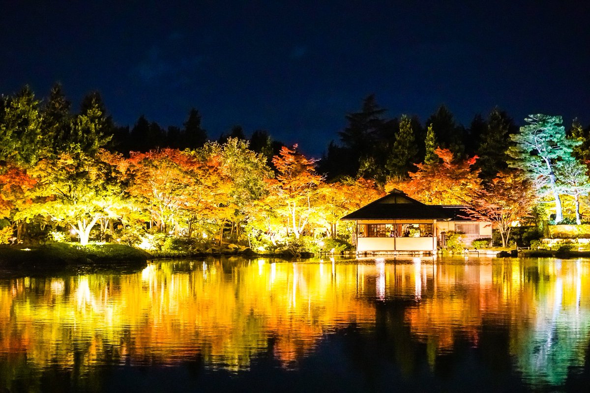 keidot3's tweet photo. 2023年11月6日
立川昭和記念公園 日本庭園ライトアップで撮影しました！
#skkフォトコン2023秋 https://t.co/A0IaR6IDIt
