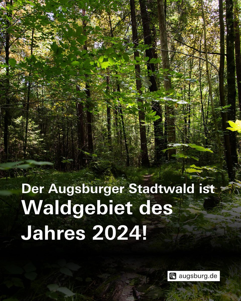 Der #Stadtwald #Augsburg ist Waldgebiet des Jahres 2024! Das hat der Bund deutscher Forstleute entschieden. Der Grund: Die Vielfalt der Ökosystemleistungen des Waldes innerhalb des Stadtgebietes mit mehr als 3000 Tier- und Pflanzenarten.
augsburg.de/aktuelles-aus-…
#StadtAugsburg