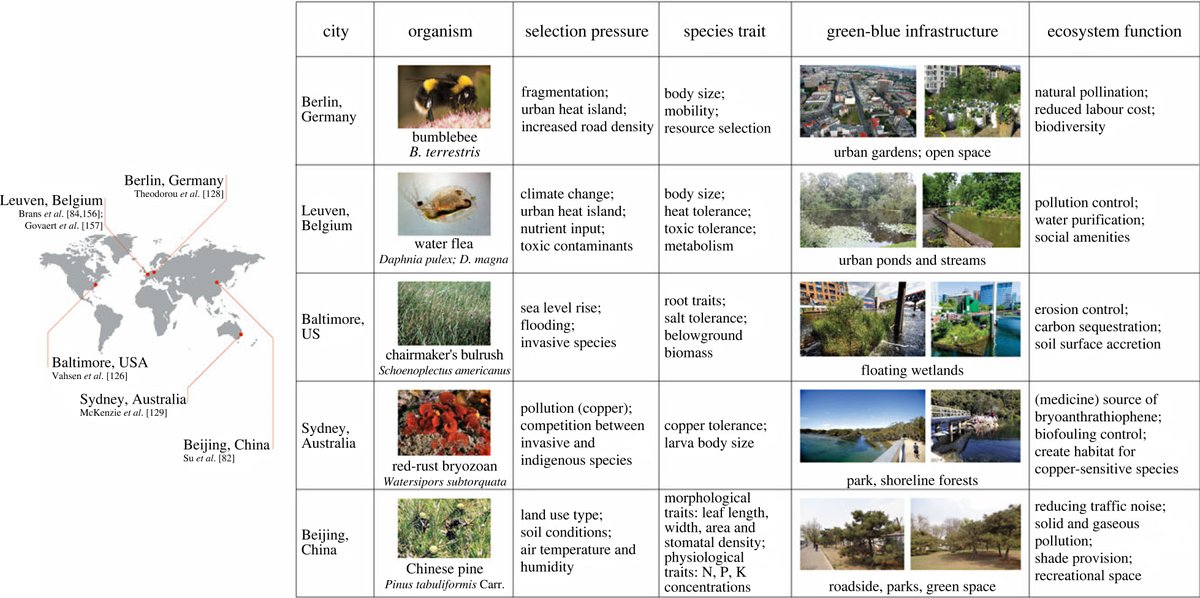 Marina Alberti tweet media