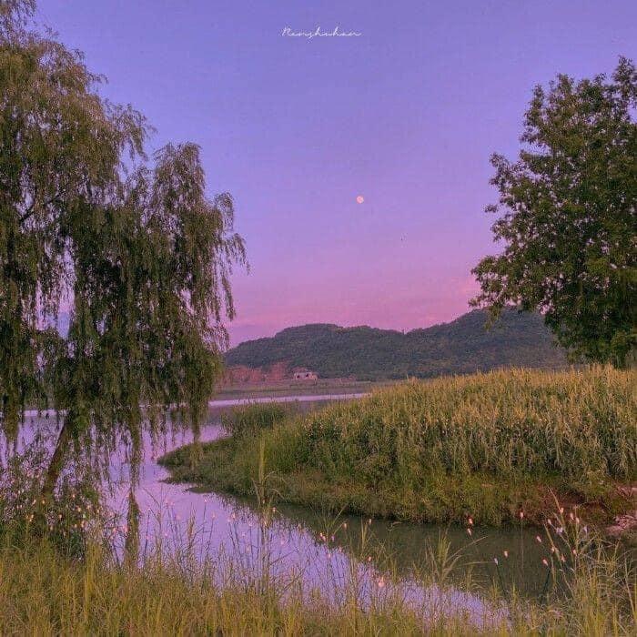 softdeIicacy's tweet photo. purple skies https://t.co/j61ACX5Lm4