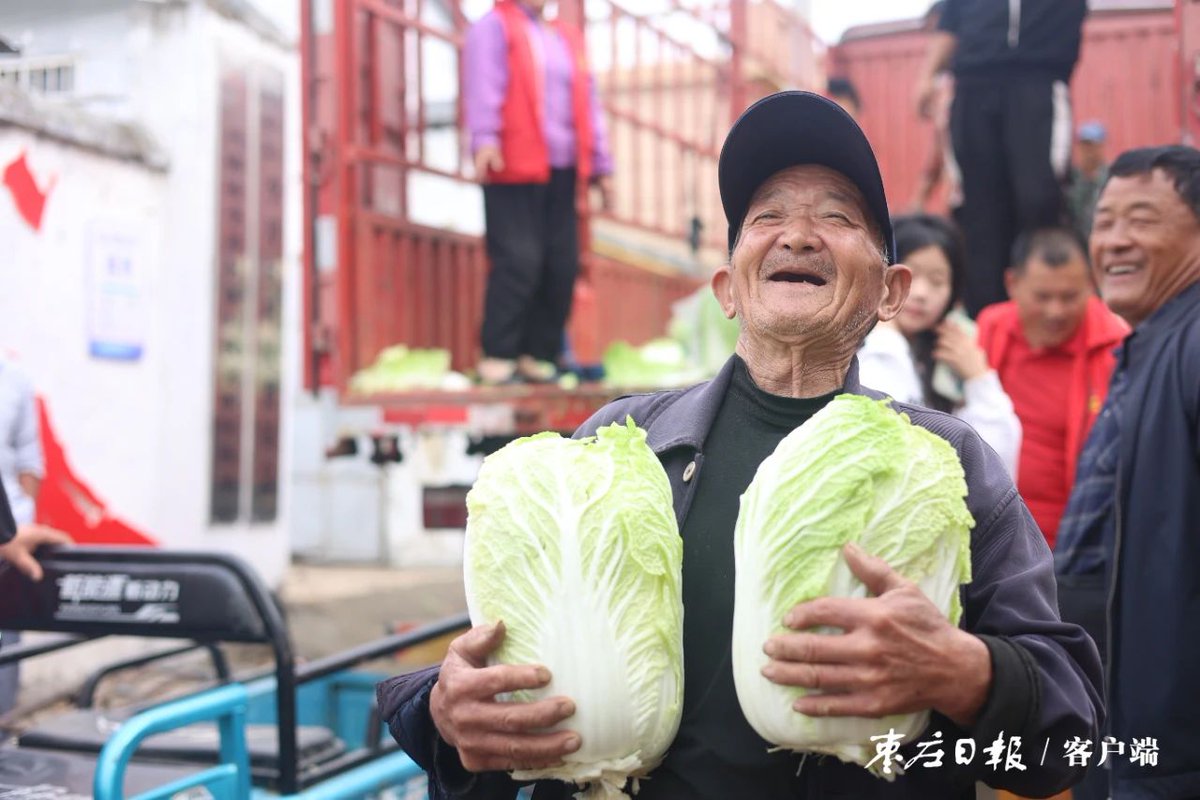 ZaozhuangChina's tweet photo. Residents in Lijing Village, #Shanting District, #Zaozhuang, received complimentary Chinese cabbages on Nov 4. Laughter and joy filled the warm morning air, creating a delightful atmosphere. https://t.co/HrR9zdGgda