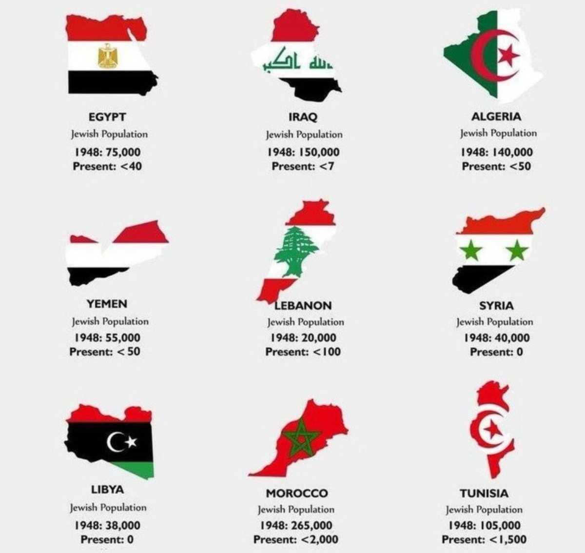 Visegrád 24 tweet media