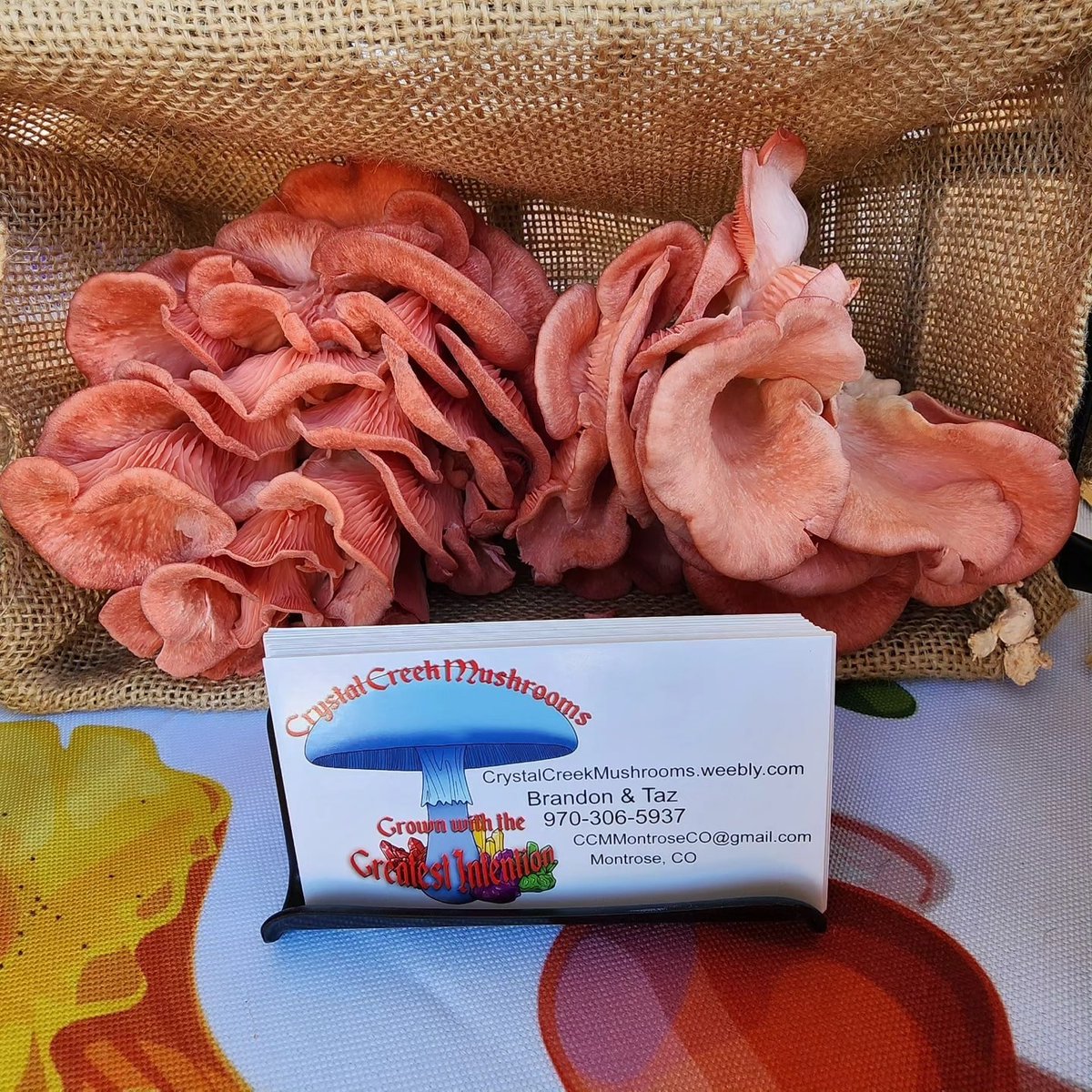 🏠 Stock your vacation rental with fresh produce and locally raised meats from the Montrose Farmers Market. 🍎🥚🥩🍠

Stop by today - they’re open 9 am - 1 pm at Centennial Plaza and the adjoining Centennial Room.