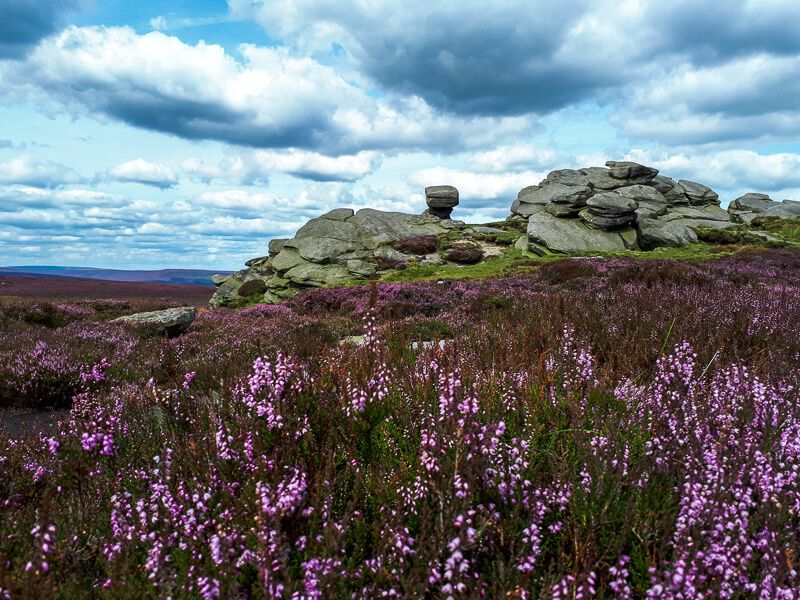 PeakDistrictWks's tweet photo. This 10-mile Derwent Edge walk takes you past plenty of unusual rock formations whilst overlooking Ladybower Reservoir before descending back down to complete the loop. What are you waiting for? π https://t.co/mrcVFIUwlD #PeakDistrict #DerwentEdge https://t.co/Zlvu88Aoqp