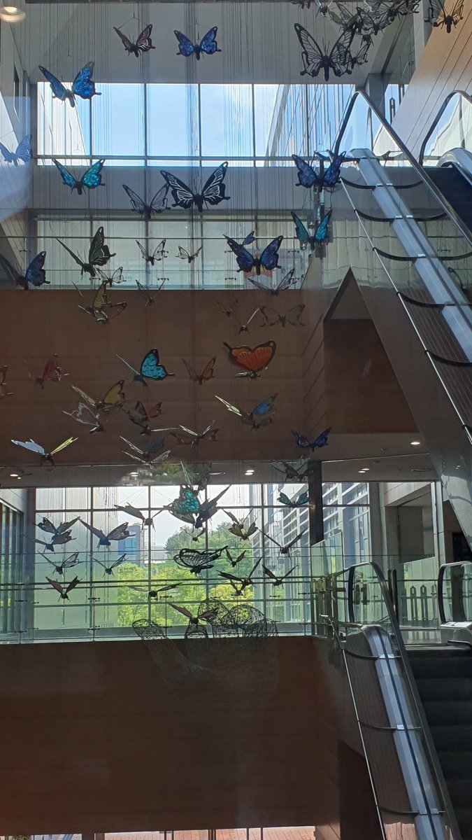 HyeChuu_Ch's tweet image. #고원공주_생놀ㄱ
#GOWON_HBDNOL
사랑하는 채원아 생일을 축하해요 🎉 
채원이에 앞으로 활동을 응원해
어려운 길 힘든 과정이 있겠지만
현재를 응원하고
미래를 사랑하고
영원히 그대에 곁에 있으며
함께 걸어가는 채원이에 사람
반딧불이 작은 메세지를 담아 보아요
항상 그대를 사랑해💚

어느병원