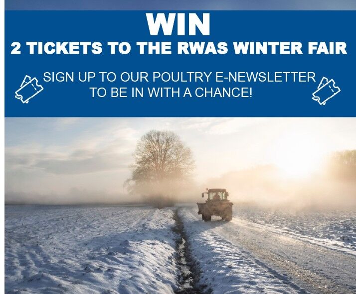 ⭐GIVEAWAY ⭐

Sign-up to our Poultry E-newsletter for a chance to WIN 2x tickets to the RWAS Winter fair.

Hurry, entries close at 9pm, November 19th! ⏰

Sign-up here: bit.ly/3QGa8ym

Good luck! 🎉

#rwaswinterfair #poultrynews #wynnstaypoultry #giveaway #win