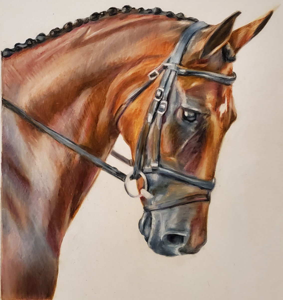 “Z the OTTB Olympian” is a portrait done for the amazing veteran Olympian <a href="/DuttonEventing/">Phillip Dutton</a>. Z is an off-track thoroughbred who now competes at the highest levels of eventing and competed in the 2020 Tokyo Olympics 🐴🏅<a href="/jypfineart/">Joanne Y. Pierce</a>