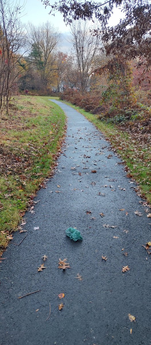 Beautiful McLean Virginia tweet media