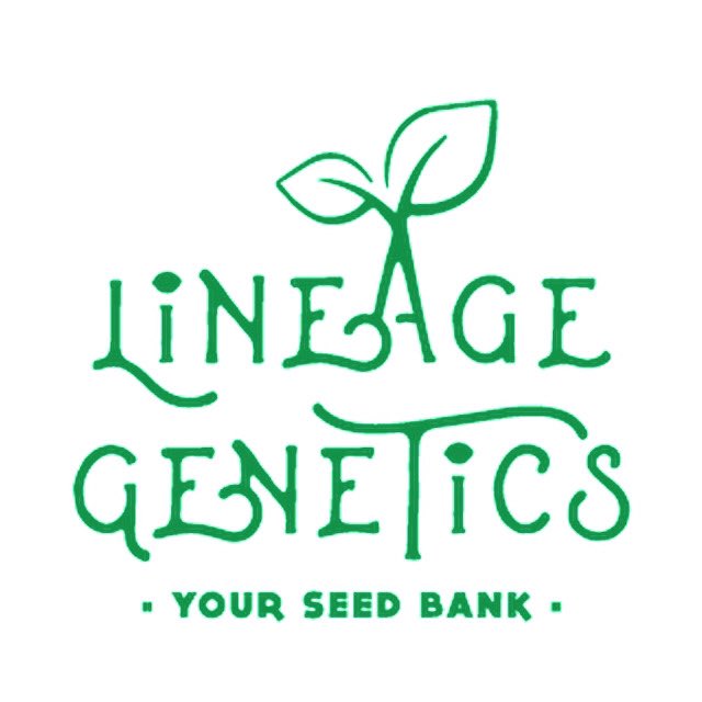 Lineagegenetics's tweet photo. Apologies to everyone, due to health reasons I be unavailable last couple of weeks, like to inform everyone our Website is back up as normal..
#CannabisCommunity #cannabisseeds #thc #cbd #regularseeds #legalizeweed #homegrownweed #seeds https://t.co/QsI7bVJWfY