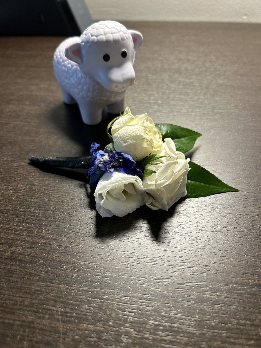 Stephanie Waterman tweet media