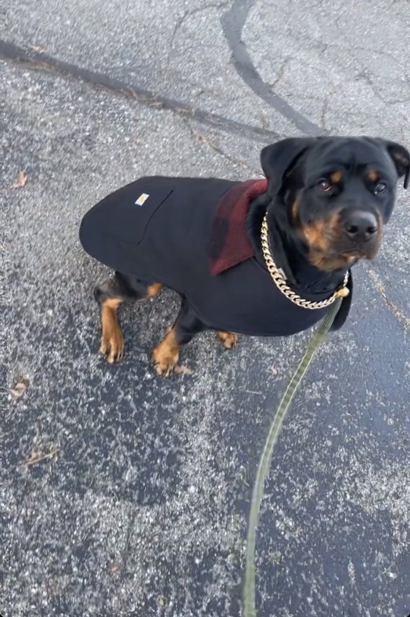 __jasmineee's tweet image. His coat.😭❤️