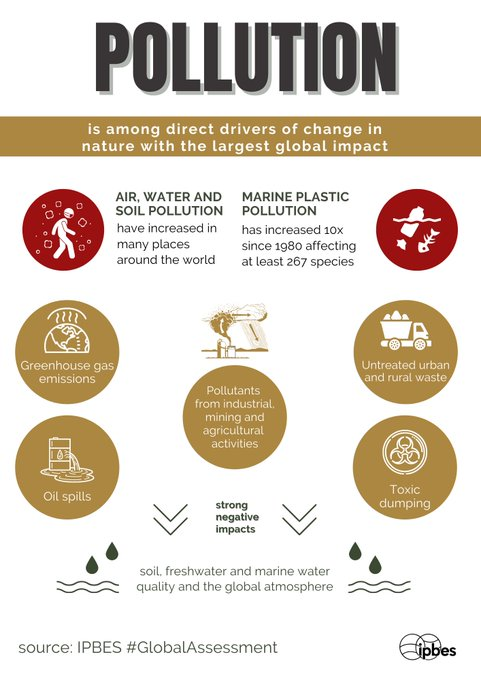 UNBiodiversity's tweet photo. The rate of global change in nature during the past 50 years is unprecedented in human history.

The @ipbes #GlobalAssessment found #pollution to be one of the top five direct drivers of change in nature with the largest global impacts. 

📘 https://t.co/CGKbbVmbCh

Via @IPBES https://t.co/TXWGd55JVA