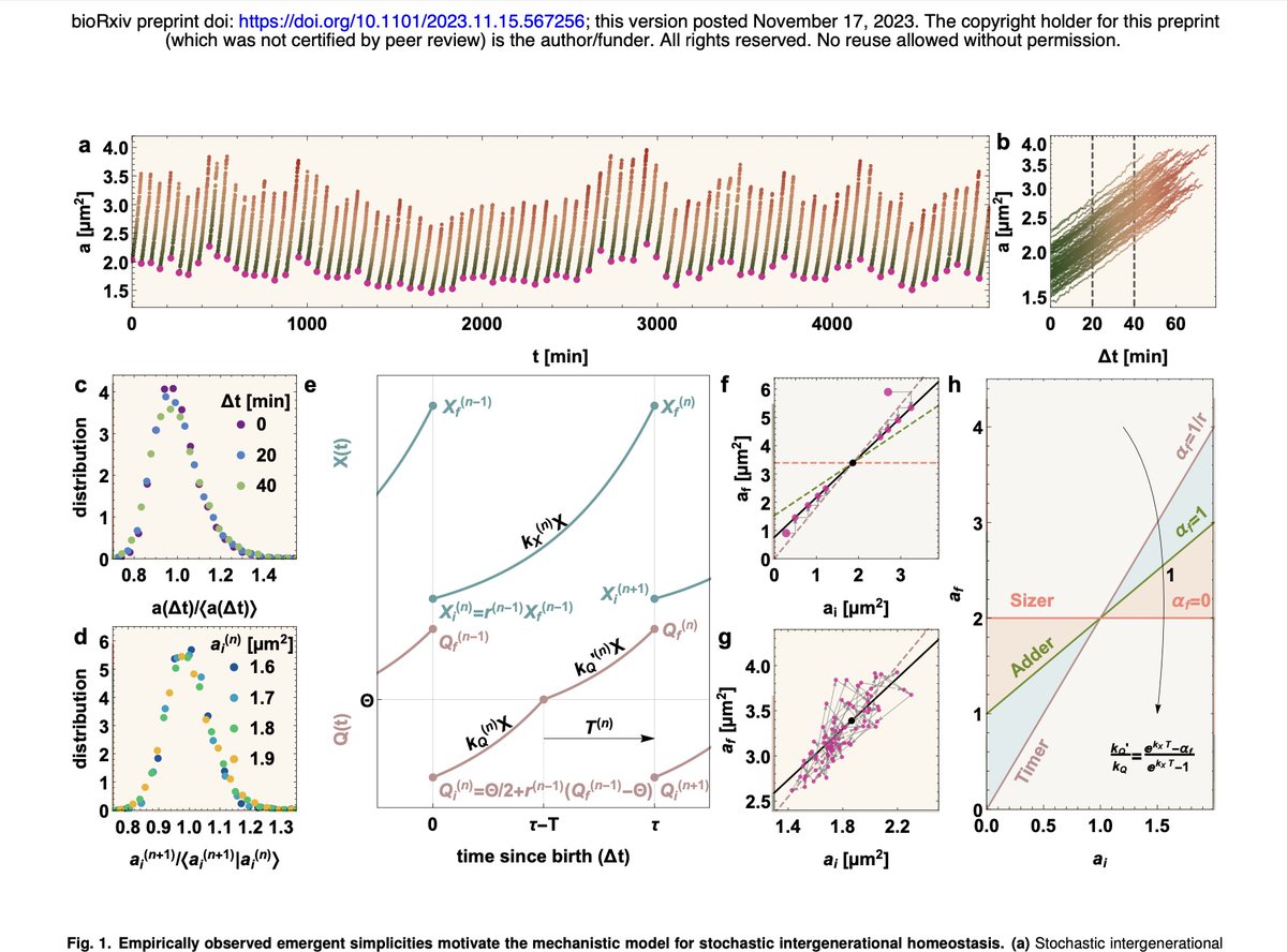 Purdue Physics&Astro tweet media