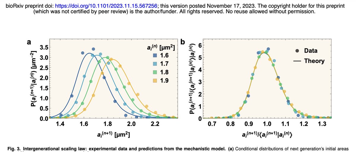 Purdue Physics&Astro tweet media