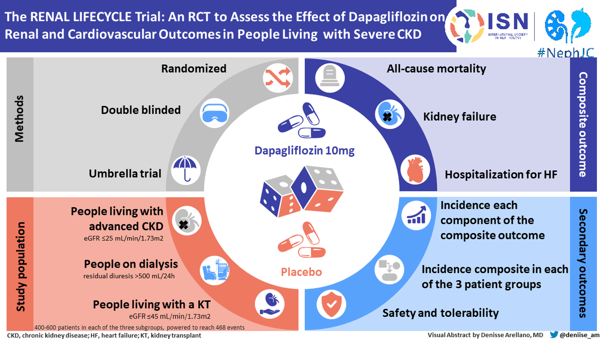 RENAL LIFECYCLE Trial: Efficacy and safety of dapagliflozin 10 mg vs placebo #Nephpearls ✅ eGFR <25 ✅ Patients on dialysis with residual diuresis >500 ml/24-hour ✅ Kidney transplant recipients with an eGFR </=45 📌 PRIMARY ENDPOINT: Composite end point of kidney failure,