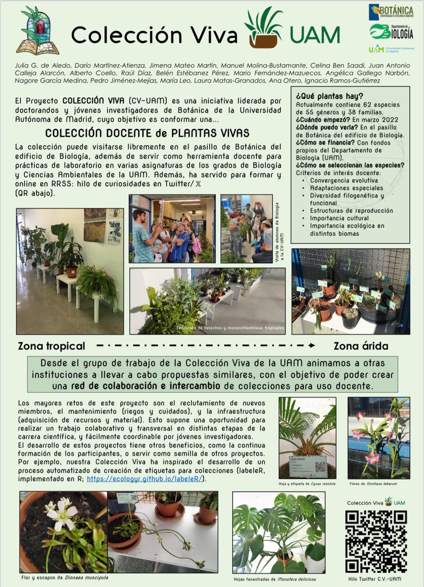 <a href="/iramosgutierrez/">Ignacio Ramos Gutiérrez</a> <a href="/mBioDivUAM/">Master Biodiversidad UAM</a> <a href="/biologia_uam/">Departamento Biología UAM</a> <a href="/UCCUAM/">UCCUAM</a> <a href="/UAM_Madrid/">UAM Autónoma Madrid</a> <a href="/biomaraton/">Biomaratón de Flora Española</a> <a href="/JovenesBotanica/">Jóvenes por la Botánica Española - JxBE</a> <a href="/OficialSebot/">Sociedad Botánica Española</a> <a href="/SEBiCoP/">sebicop.bsky.social</a> <a href="/pjimmej/">Pedro Jiménez Mejías</a> <a href="/albertojcoello/">Alberto J. Coello</a> <a href="/agallegonarbon/">Angélica Gallego-Narbón</a> Aquí tenéis el póster ! 👇👇 #IVSimSEBOT