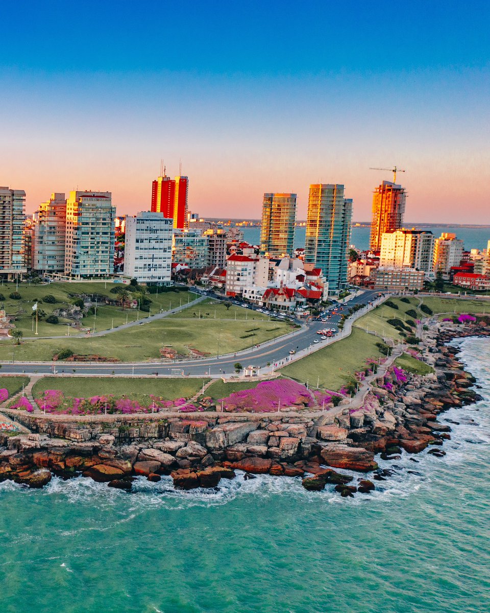 Juanchi Ugalde tweet media