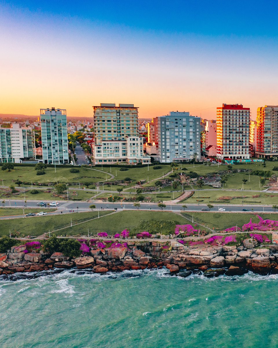 Juanchi Ugalde tweet media