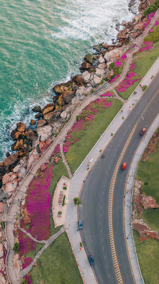 Juanchi Ugalde tweet media