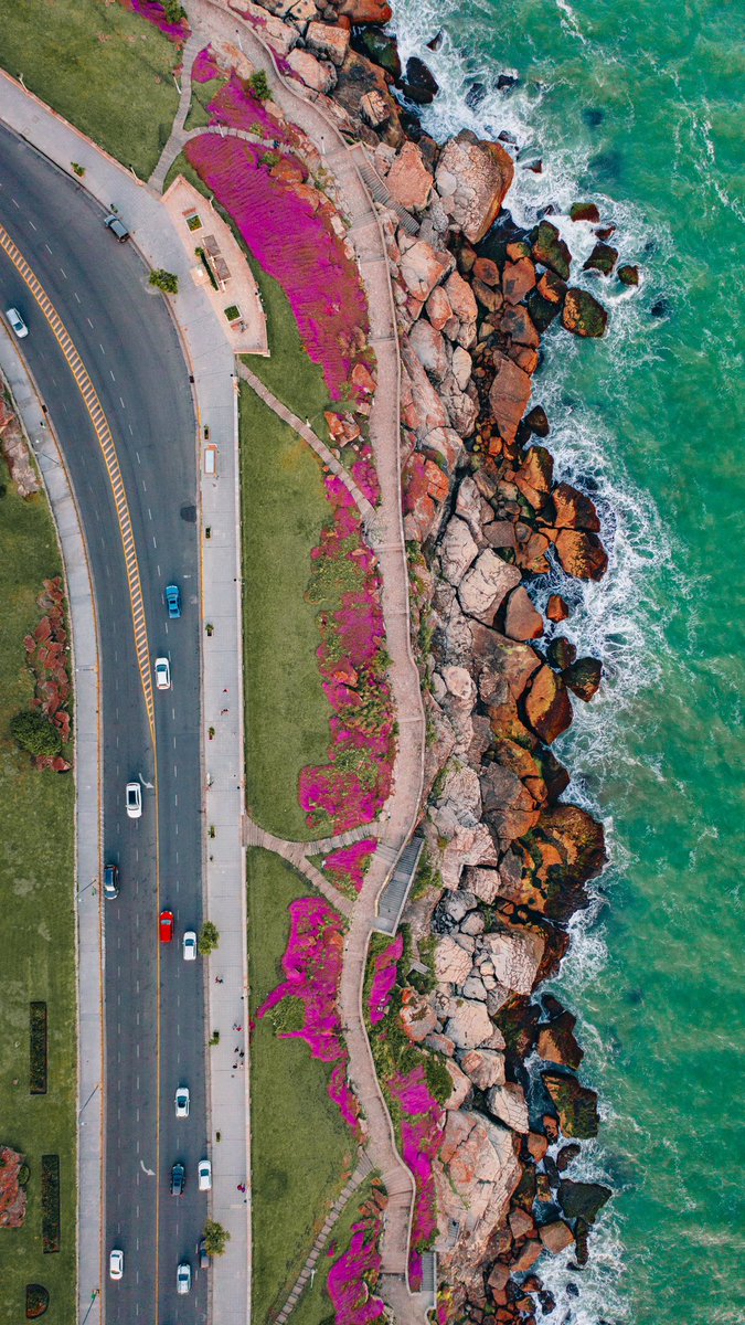 Si, lo reconozco. 

Soy fan de la primavera en Mar del Plata 💐💕