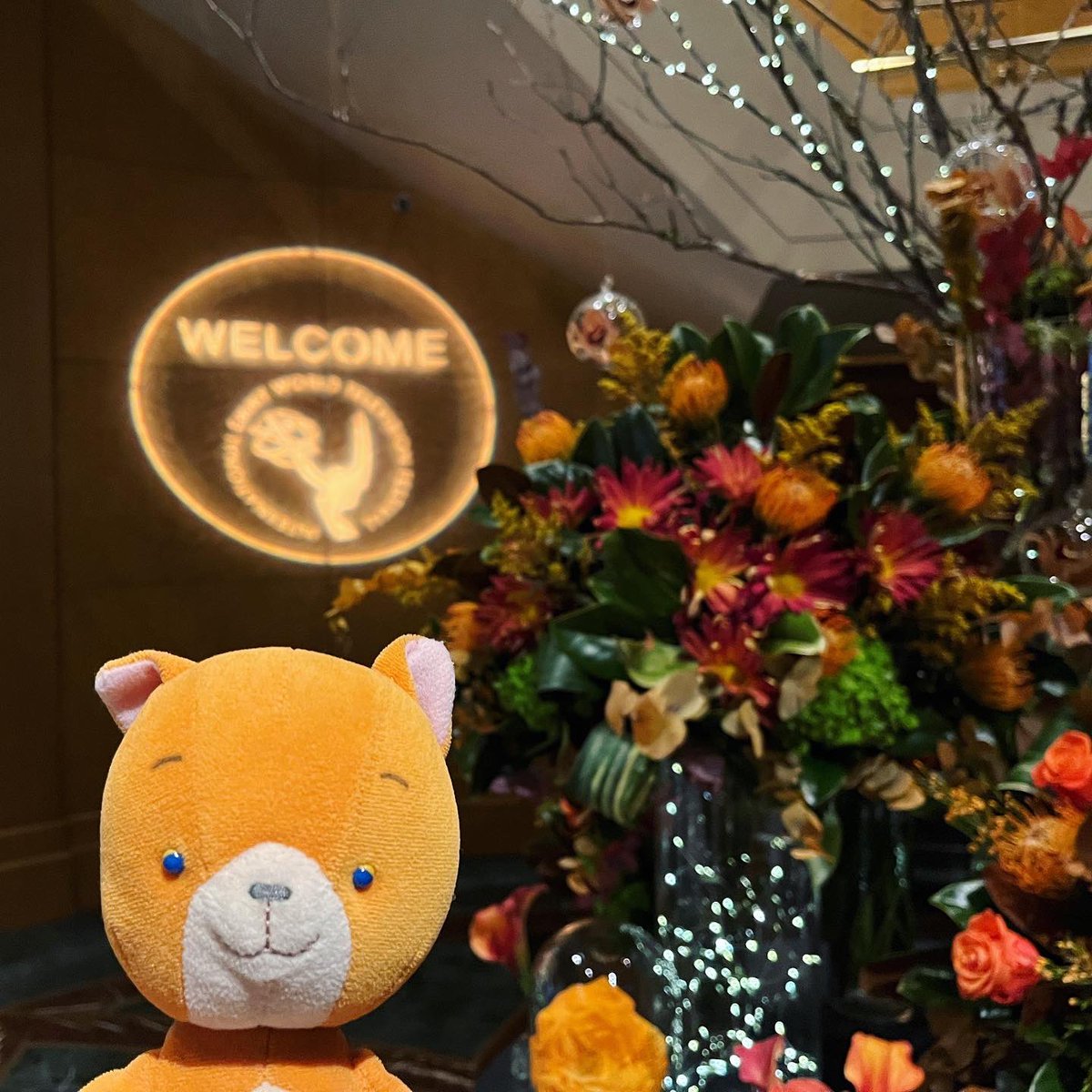 NMdwf's tweet image. 到着すると、ホテルは #emmyawards2023 のウェルカムムードで嬉しい！
エレベーターに乗り合わせるのも、きっとノミネートされた人かな、と話しかけあったり。
ライバルではあるけど、仲間が集まる場所ってやっぱ楽しい！
昨夜のカクテルに続き、公式行事が始まるぞー　#rilakkuma #dwarfstudios