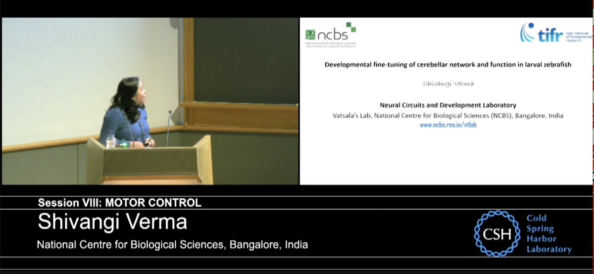 VatsalaT's tweet photo. Double ka Meetha! Current PhD student @shivangiv10 amazes with her presentation on synaptic pruning in the cerebellum @cshlmeetings #cshlzebrafish. Absolutely proud! @NCBS_Bangalore @India_Alliance https://t.co/OjSKrPg59Z