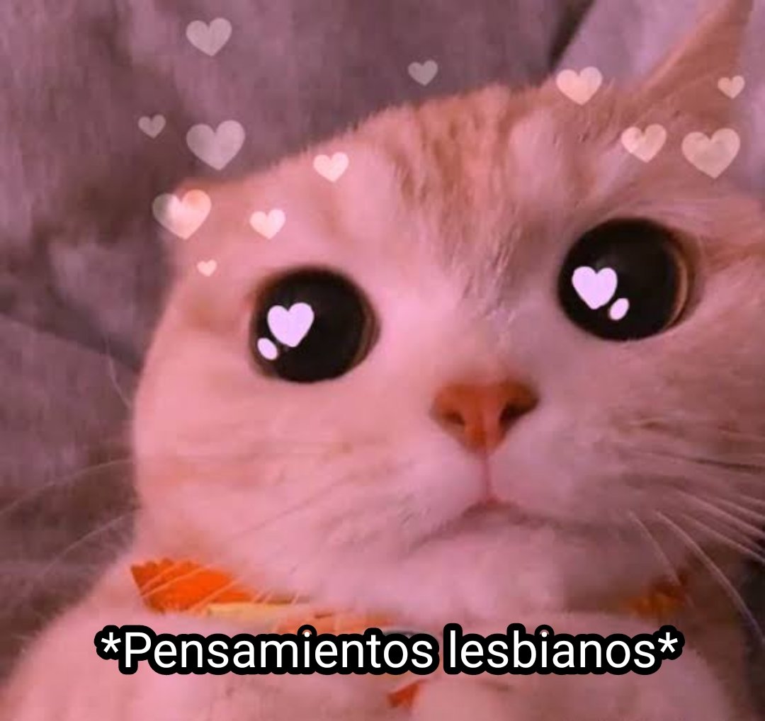 LesbiQueen's tweet photo. https://t.co/LQiXfXrtFA