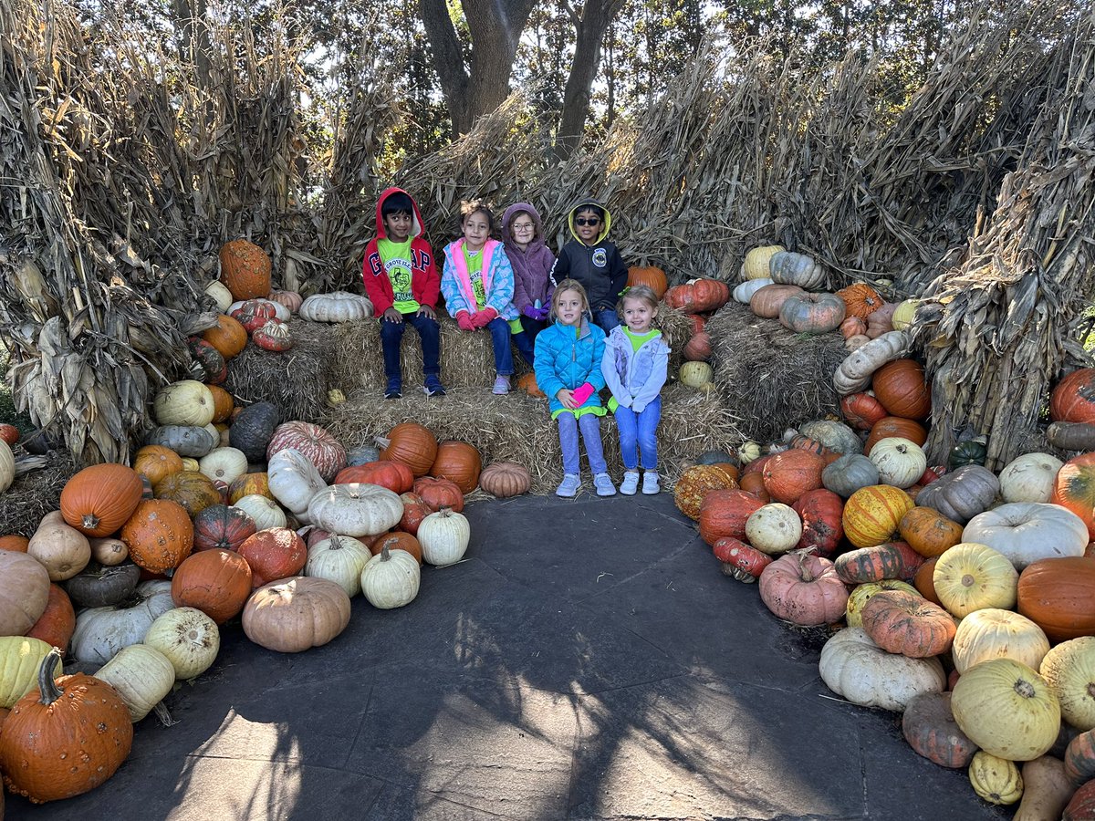 nicole athans tweet media