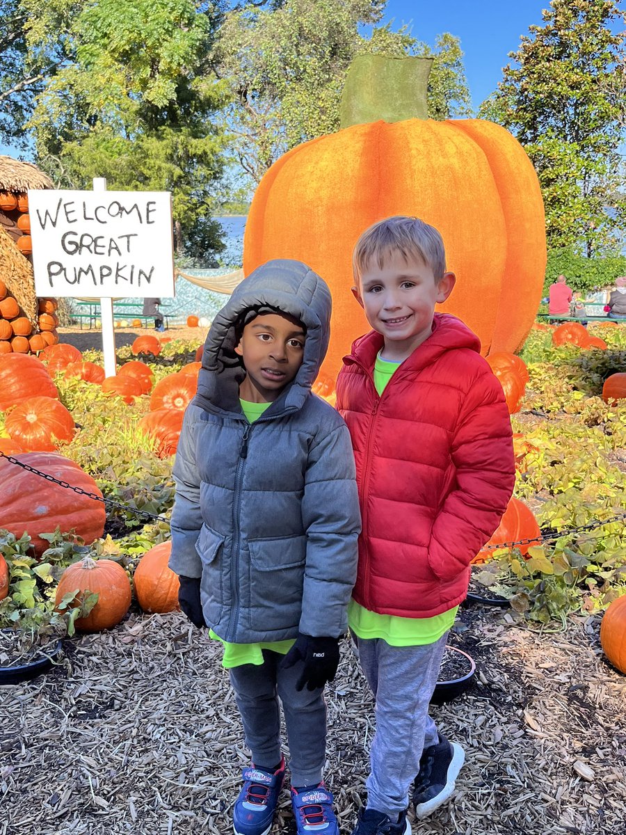 nicole athans tweet media