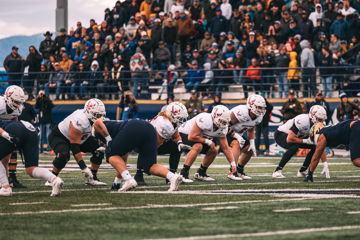 Hayden Mace tweet media