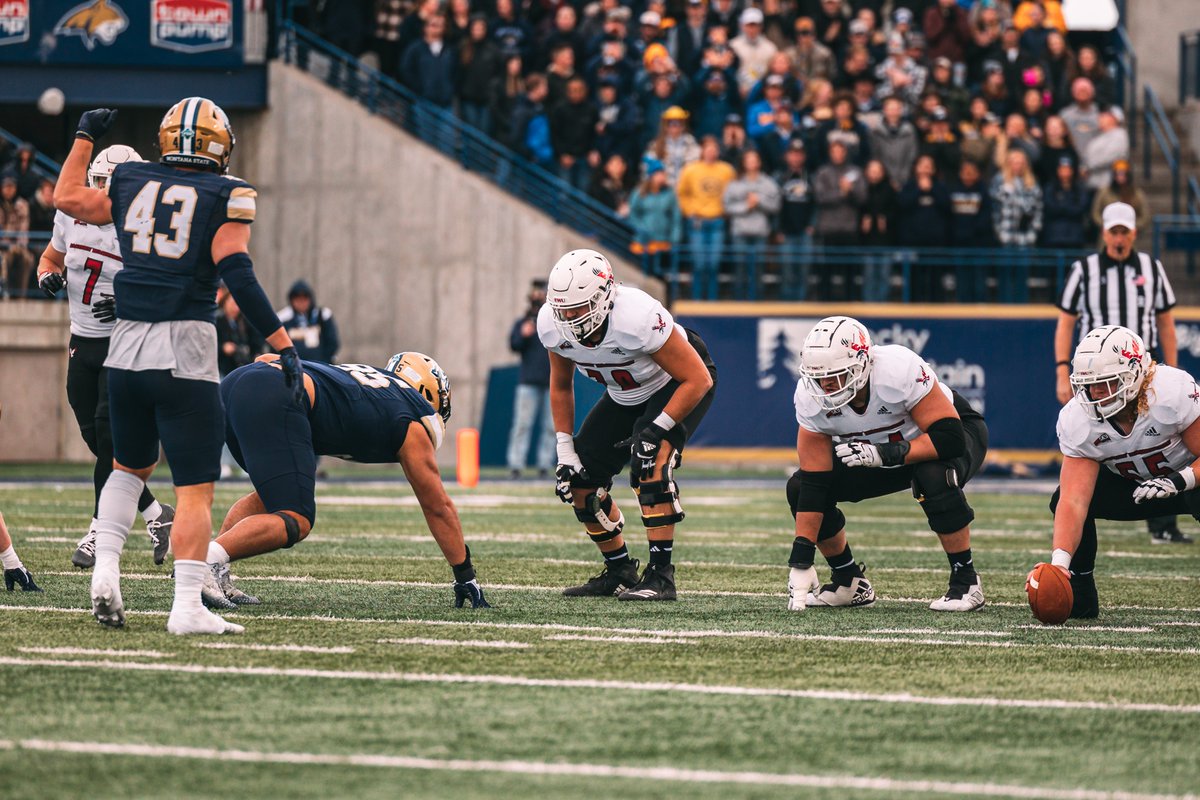 Hayden Mace tweet media