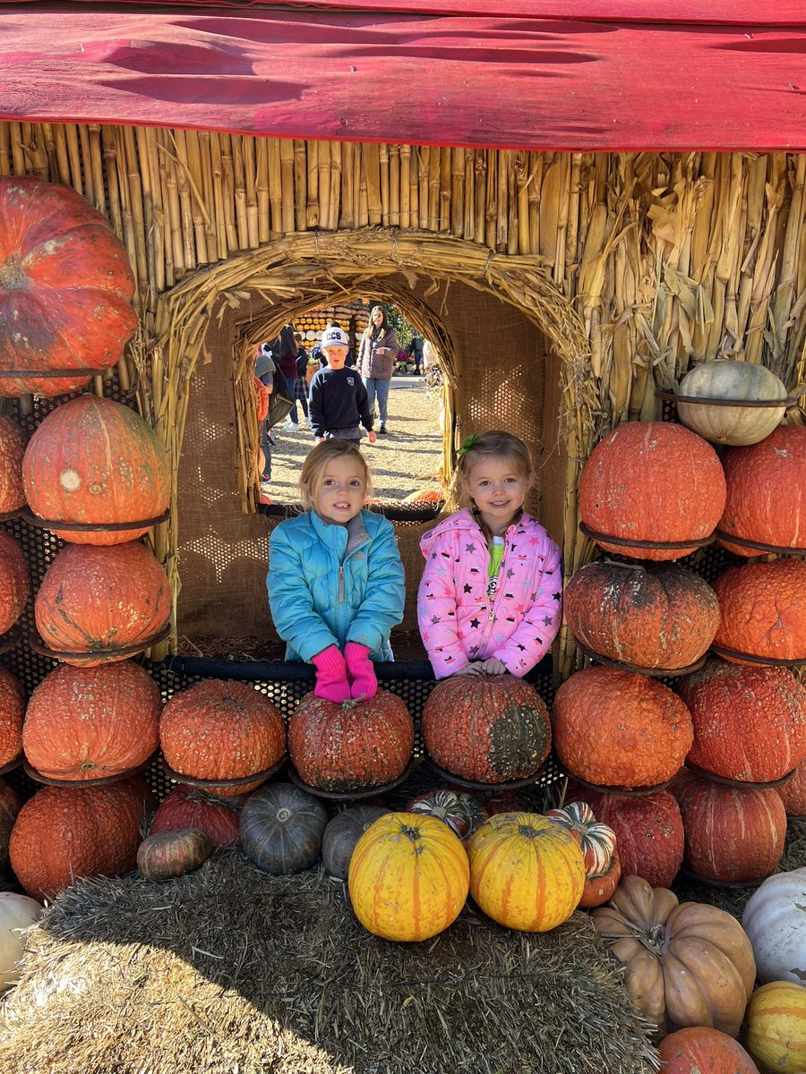 nicole athans tweet media